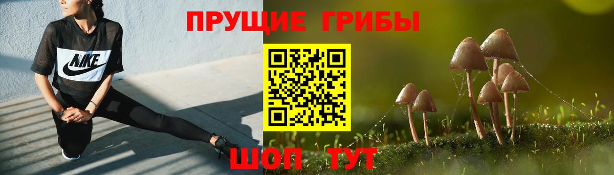 Галлюциногенные грибы мухоморы  Галлюциногенные грибы GOLDEN TEACHER  Вход с VPN  Магнитогорск 